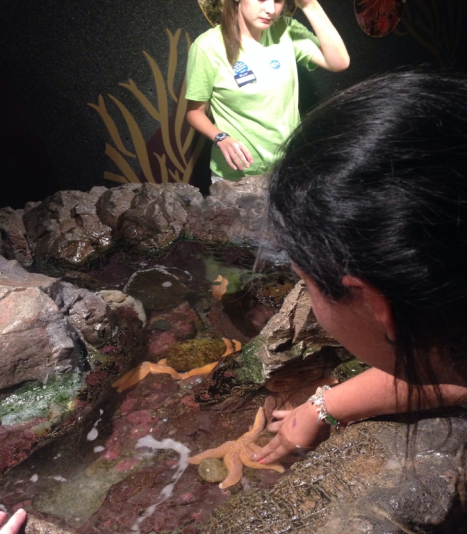 Village Camps International Summer Camp Boston, USA 2015-08-01 https://www.villagecamps.com/journals_admin/images/1427-2782-image (9).jpg